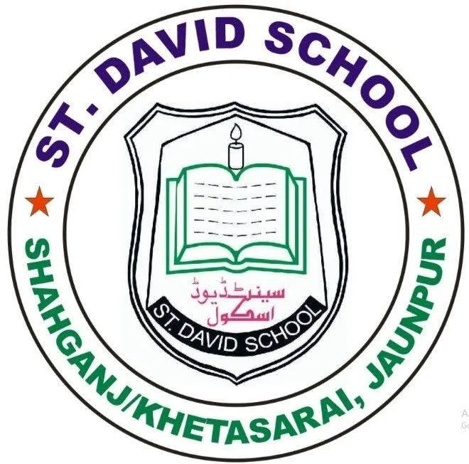 St. David School एसटी. डेविड स्कूल